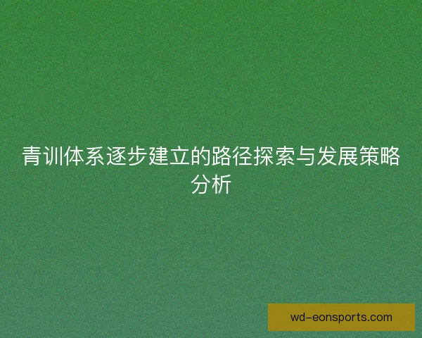 青训体系逐步建立的路径探索与发展策略分析